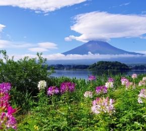 泰安当地投票机构