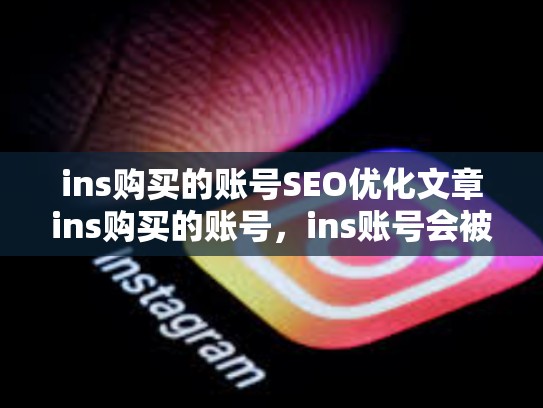 ins购买的账号SEO优化文章ins购买的账号，ins账号会被回收吗