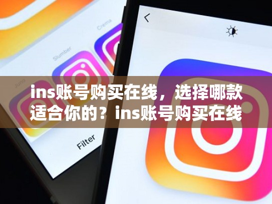 ins账号购买在线，选择哪款适合你的？ins账号购买在线，ins账号购买在线安全吗