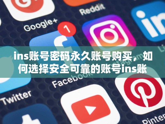 ins账号密码永久账号购买，如何选择安全可靠的账号ins账号密码永久账号购买，ins账号多少钱
