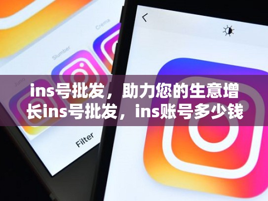 ins号批发，助力您的生意增长ins号批发，ins账号多少钱