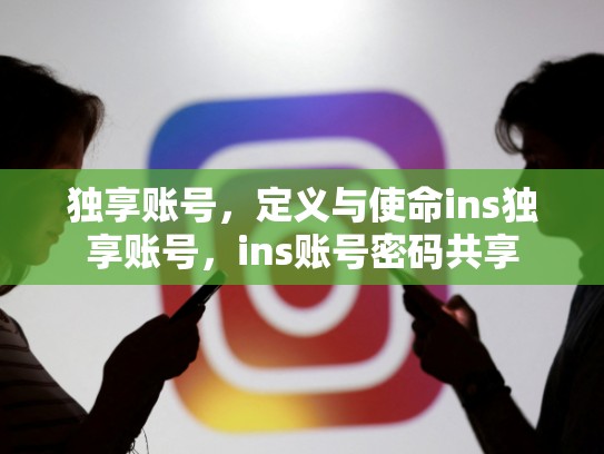 独享账号，定义与使命ins独享账号，ins账号密码共享