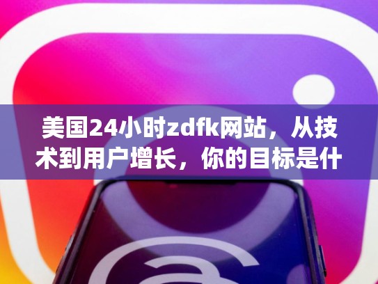 美国24小时zdfk网站，从技术到用户增长，你的目标是什么？美国24小时zdfk网站，美国apizdfk