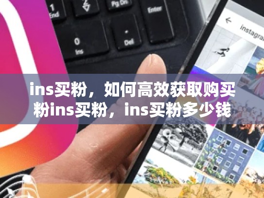 ins买粉，如何高效获取购买粉ins买粉，ins买粉多少钱