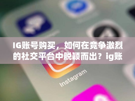 IG账号购买，如何在竞争激烈的社交平台中脱颖而出？ig账号购买，ig购买平台