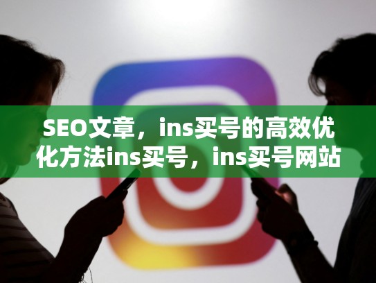 SEO文章，ins买号的高效优化方法ins买号，ins买号网站