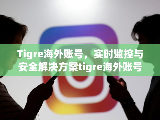 Tigre海外账号，实时监控与安全解决方案tigre海外账号，登陆海外账号id有什么风险