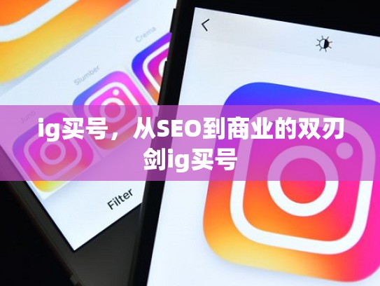 ig买号，从SEO到商业的双刃剑ig买号