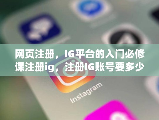 网页注册，IG平台的入门必修课注册ig，注册IG账号要多少钱
