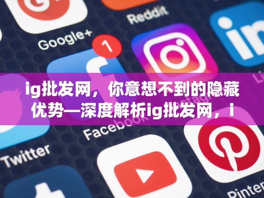 ig批发网，你意想不到的隐藏优势—深度解析ig批发网，ig网购