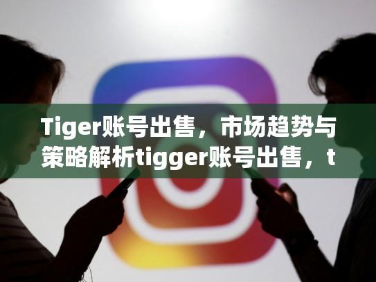 Tiger账号出售，市场趋势与策略解析tigger账号出售，trove账号购买