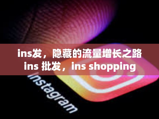 ins发，隐藏的流量增长之路ins 批发，ins shopping