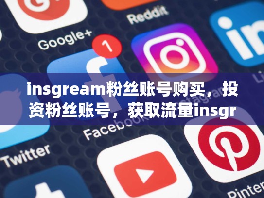 insgream粉丝账号购买，投资粉丝账号，获取流量insgream粉丝账号购买，ins上的粉丝能买吗