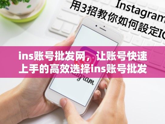 ins账号批发网，让账号快速上手的高效选择ins账号批发网，ins账号多少钱