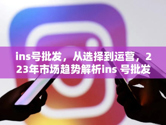 ins号批发，从选择到运营，223年市场趋势解析ins 号批发，ins买号平台