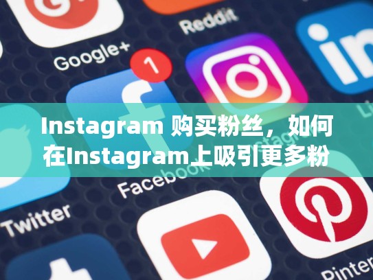 Instagram 购买粉丝，如何在Instagram上吸引更多粉丝！instagram买粉丝，ins在哪里买粉