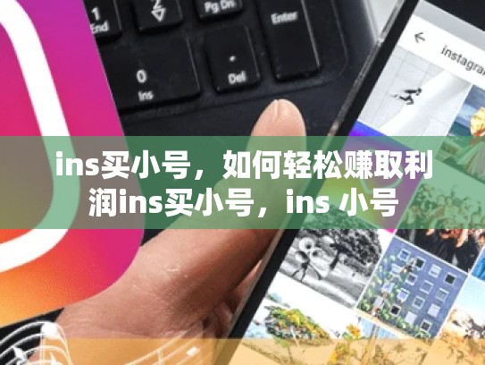 ins买小号，如何轻松赚取利润ins买小号，ins 小号