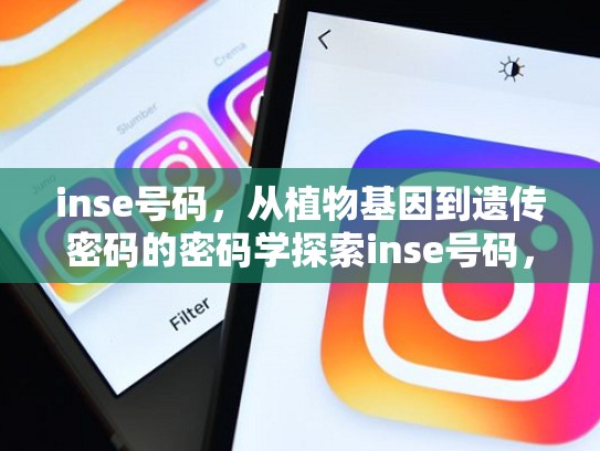 inse号码，从植物基因到遗传密码的密码学探索inse号码，institution号码