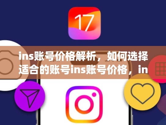 ins账号价格解析，如何选择适合的账号ins账号价格，instagram账号多少钱一个