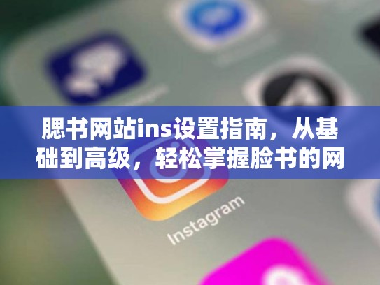 腮书网站ins设置指南，从基础到高级，轻松掌握脸书的网站怎么ins设置，脸书的网站怎么ins设置密码