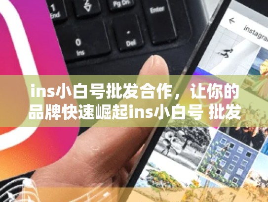 ins小白号批发合作，让你的品牌快速崛起ins小白号 批发，小白号网站