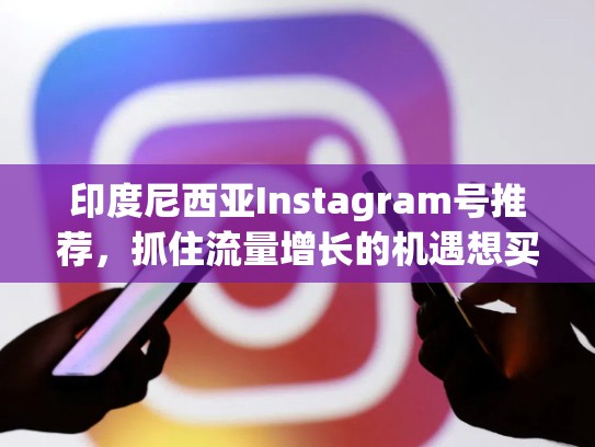 印度尼西亚Instagram号推荐，抓住流量增长的机遇想买印度尼西亚的instagram号