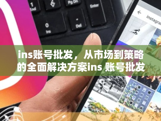 ins账号批发，从市场到策略的全面解决方案ins 账号批发，ins账号批发网