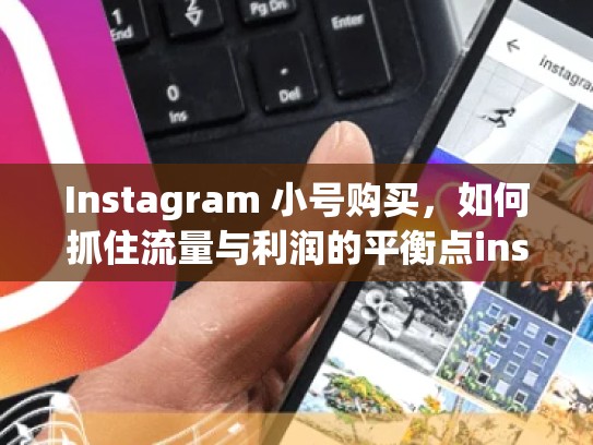 Instagram 小号购买，如何抓住流量与利润的平衡点instagram小号购买
