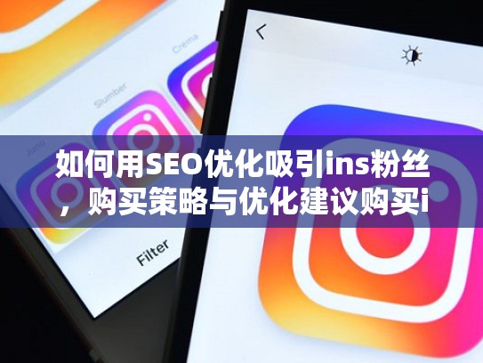 如何用SEO优化吸引ins粉丝，购买策略与优化建议购买ins粉丝，ins在哪里买粉