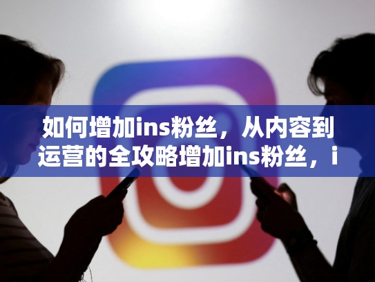 如何增加ins粉丝，从内容到运营的全攻略增加ins粉丝，ins增粉技巧