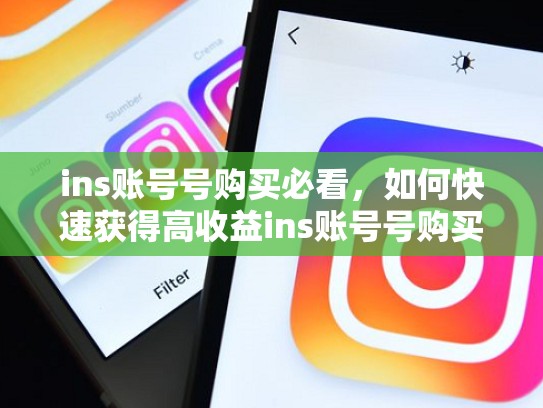 ins账号号购买必看，如何快速获得高收益ins账号号购买，ins账号购买便宜