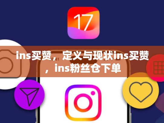 ins买赞，定义与现状ins买赞，ins粉丝仓下单
