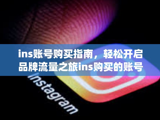 ins账号购买指南，轻松开启品牌流量之旅ins购买的账号，instagram购买账号