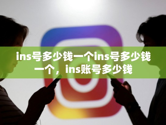 ins号多少钱一个ins号多少钱一个，ins账号多少钱