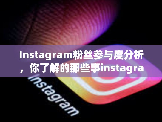 Instagram粉丝参与度分析，你了解的那些事instagram粉丝参与度，ins粉丝数量多少算多