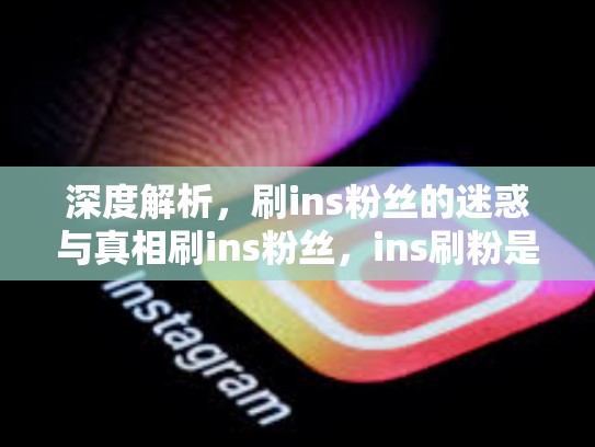 深度解析，刷ins粉丝的迷惑与真相刷ins粉丝，ins刷粉是怎么做到的
