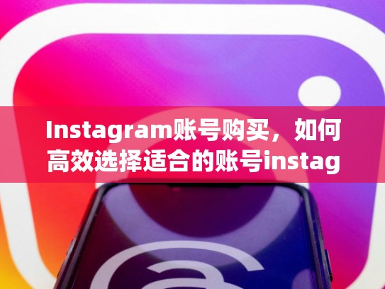 Instagram账号购买，如何高效选择适合的账号instagram账号购买