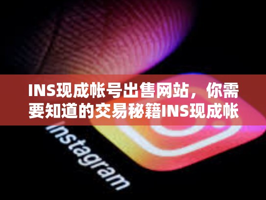 INS现成帐号出售网站,你需要知道的交易秘籍INS现成帐号出售网站,ins账号多少钱