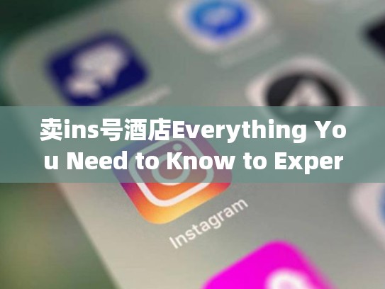 卖ins号酒店Everything You Need to Know to Experience Insan享受！卖ins号