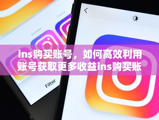 ins购买账号,如何高效利用账号获取更多收益ins购买账号,ins账户购买