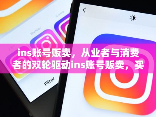 ins账号贩卖，从业者与消费者的双轮驱动ins账号贩卖，买卖ins账号