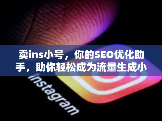 卖ins小号，你的SEO优化助手，助你轻松成为流量生成小能手卖ins小号，ins小号是什么意思