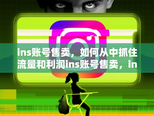 ins账号售卖，如何从中抓住流量和利润ins账号售卖，ins账号多少钱