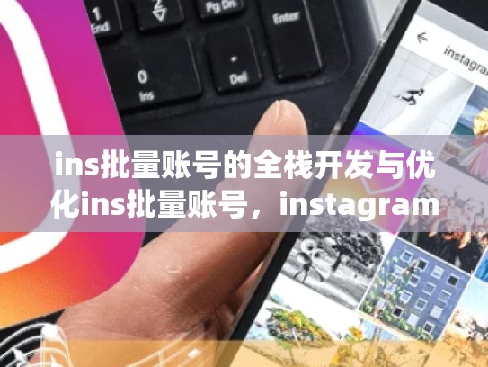 ins批量账号的全栈开发与优化ins批量账号，instagram可以批量删除吗