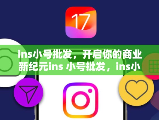 ins小号批发，开启你的商业新纪元ins 小号批发，ins小号是什么意思