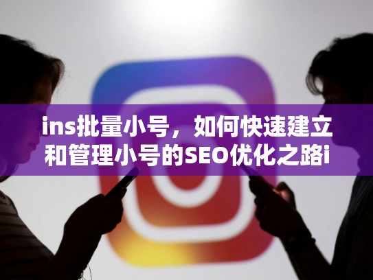 ins批量小号，如何快速建立和管理小号的SEO优化之路ins批量小号，批量注册ins账号