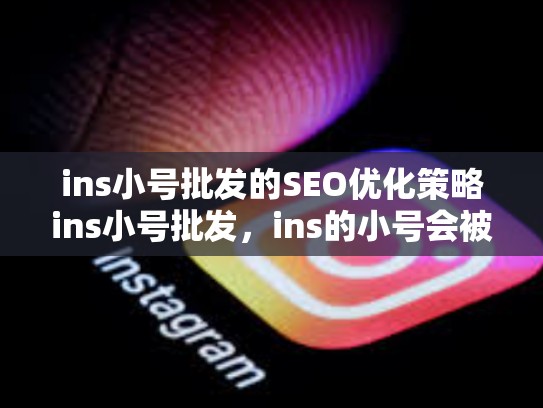 ins小号批发的SEO优化策略ins小号批发，ins的小号会被发现吗