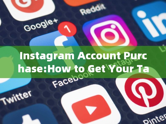 Instagram Account Purchase:How to Get Your Target Audience Onlineinstagram买账号