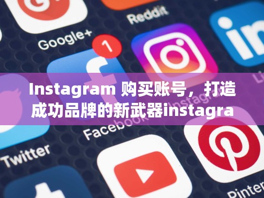 Instagram 购买账号，打造成功品牌的新武器instagram购买账号