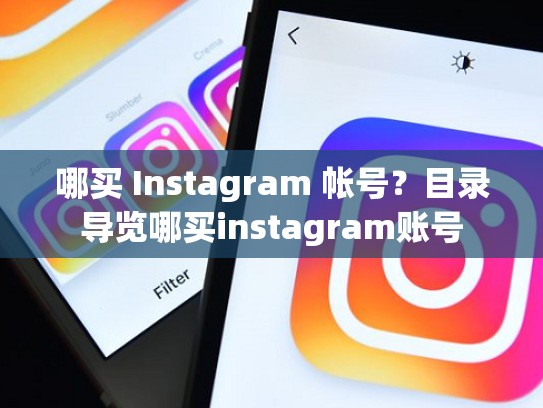 哪买 Instagram 帐号？目录导览哪买instagram账号